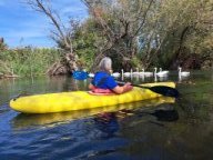 Groschenwasser, Okt 2025